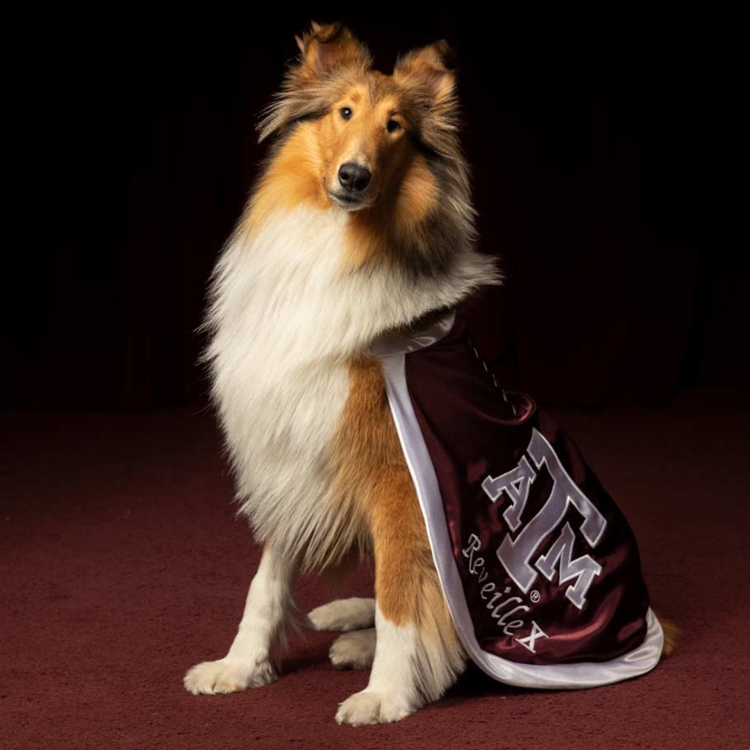 Texas A&M Aggies