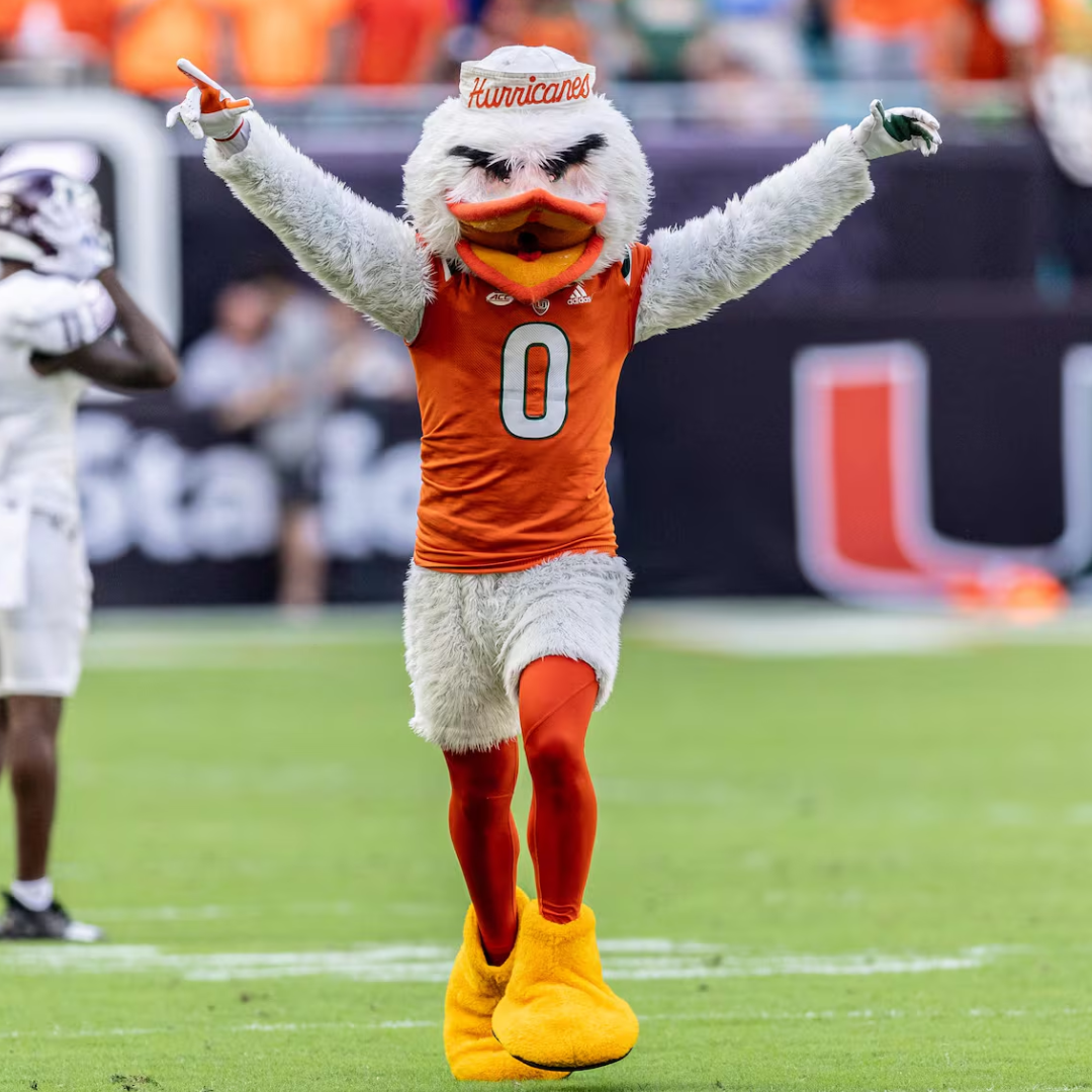 Miami Hurricanes Mascot